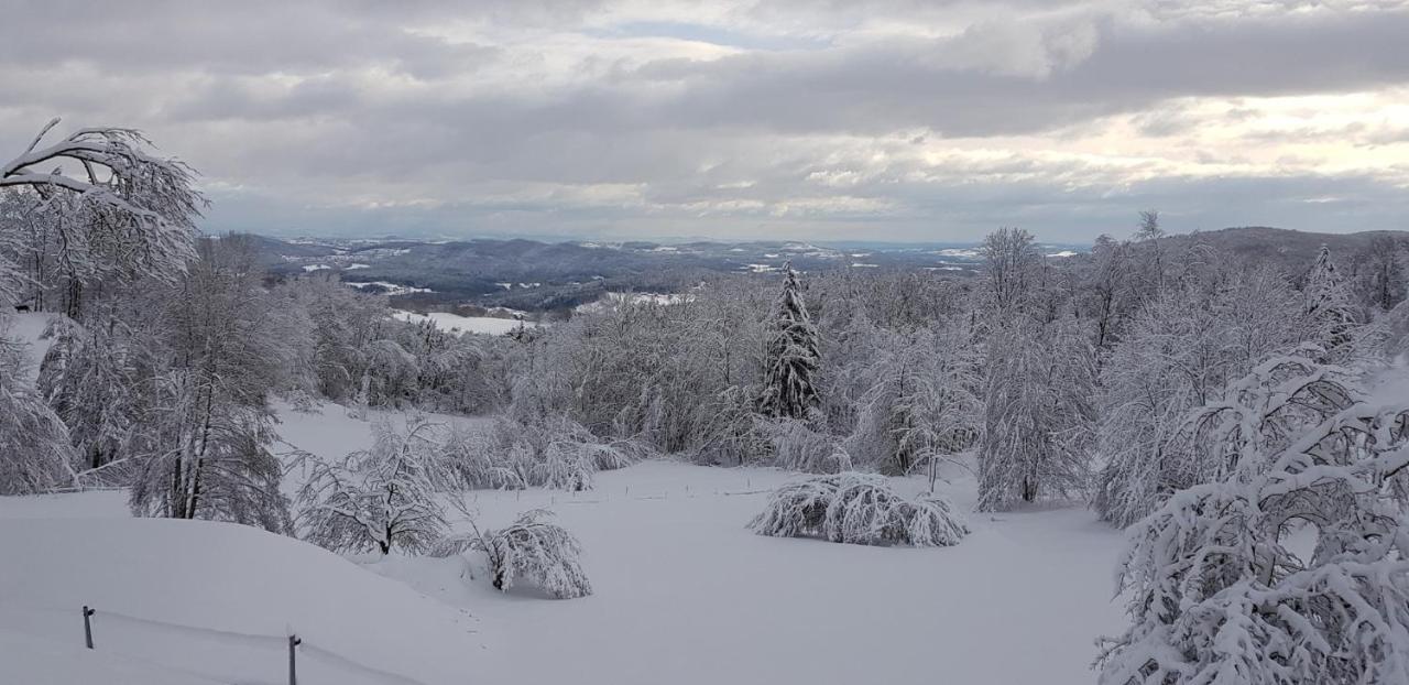 Urlaub Mit Aussicht Appartement Zenting